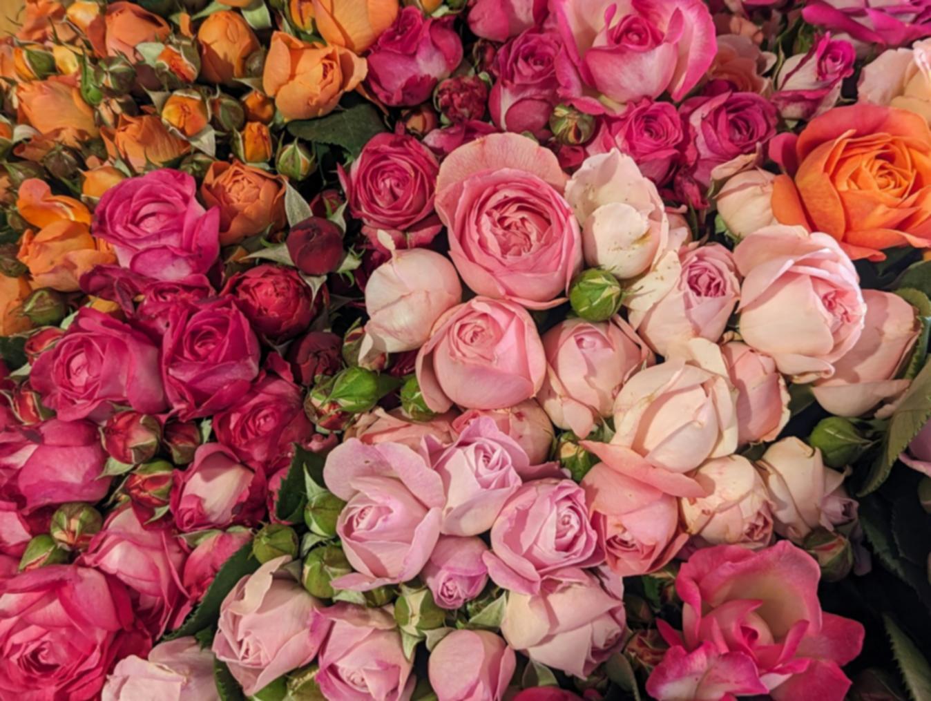 Consultlearn Academy uzmanları iş toplantısında